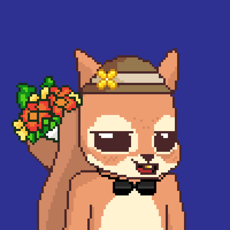 Pixel Squirrels #9582